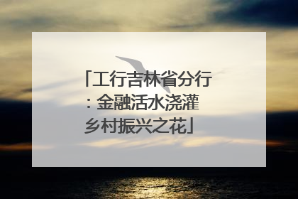 工行吉林省分行：金融活水浇灌 乡村振兴之花