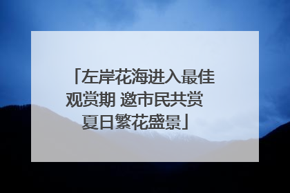左岸花海进入最佳观赏期 邀市民共赏夏日繁花盛景