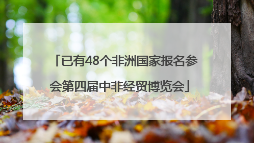 已有48个非洲国家报名参会第四届中非经贸博览会