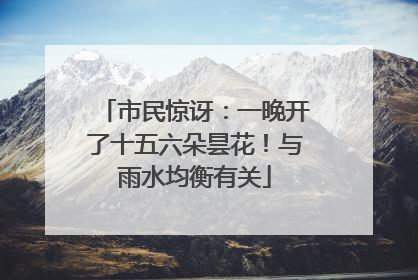 市民惊讶：一晚开了十五六朵昙花！与雨水均衡有关