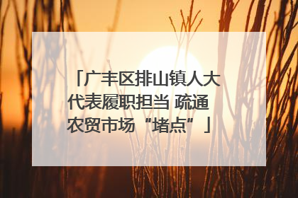 广丰区排山镇人大代表履职担当 疏通农贸市场“堵点”
