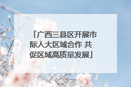 广西三县区开展市际人大区域合作 共促区域高质量发展