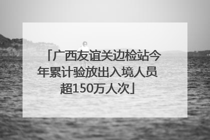 广西友谊关边检站今年累计验放出入境人员超150万人次