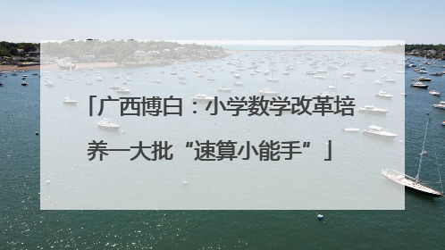 广西博白：小学数学改革培养一大批“速算小能手”