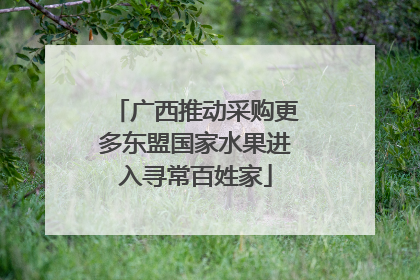 广西推动采购更多东盟国家水果进入寻常百姓家