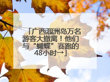 广西涠洲岛万名游客大撤离！他们与“蝴蝶”赛跑的48小时→