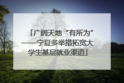 广阔天地“有所为”——宁夏多举措拓宽大学生基层就业渠道