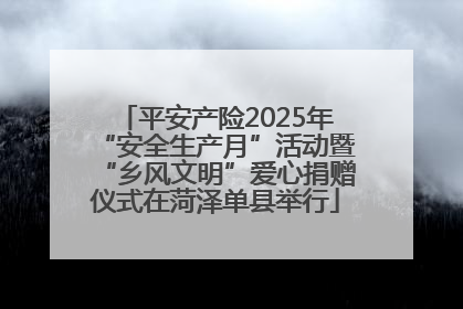 平安产险2025年“安全生产月”活动暨“乡风文明”爱心捐赠仪式在菏泽单县举行