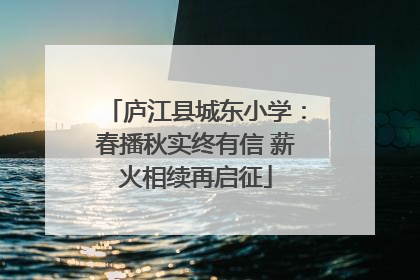 庐江县城东小学：春播秋实终有信 薪火相续再启征