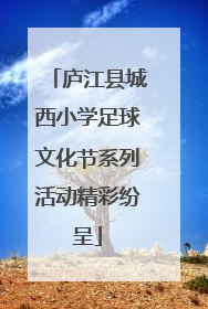 庐江县城西小学足球文化节系列活动精彩纷呈