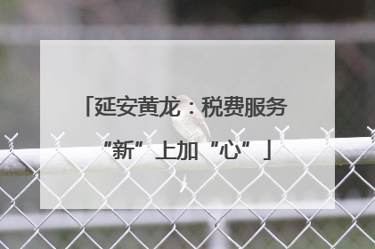 延安黄龙：税费服务“新”上加“心”