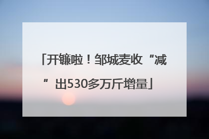 开镰啦！邹城麦收“减”出530多万斤增量
