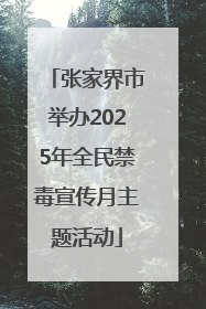 张家界市举办2025年全民禁毒宣传月主题活动