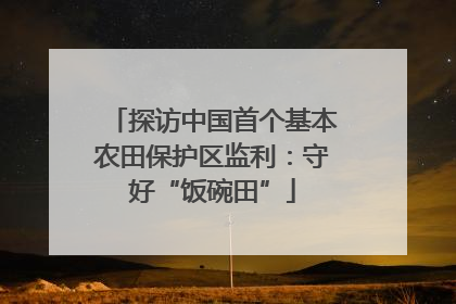 探访中国首个基本农田保护区监利：守好“饭碗田”