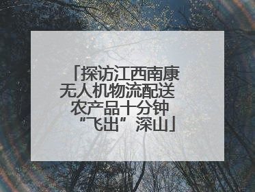 探访江西南康无人机物流配送 农产品十分钟“飞出”深山