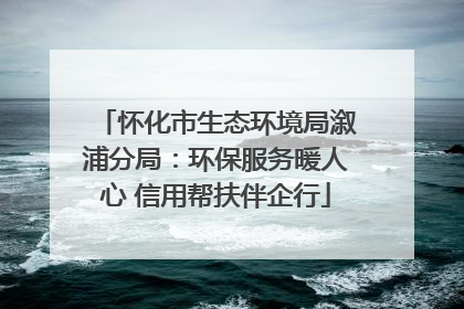 怀化市生态环境局溆浦分局：环保服务暖人心 信用帮扶伴企行