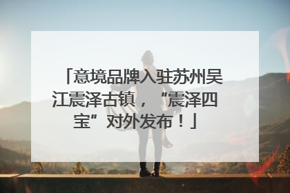 意境品牌入驻苏州吴江震泽古镇，“震泽四宝”对外发布！