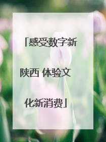 感受数字新陕西 体验文化新消费
