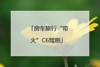 房车旅行“带火”C6驾照