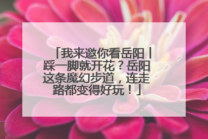 我来邀你看岳阳丨踩一脚就开花？岳阳这条魔幻步道，连走路都变得好玩！