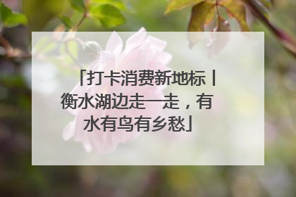 打卡消费新地标丨衡水湖边走一走，有水有鸟有乡愁