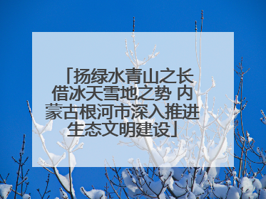 扬绿水青山之长 借冰天雪地之势 内蒙古根河市深入推进生态文明建设