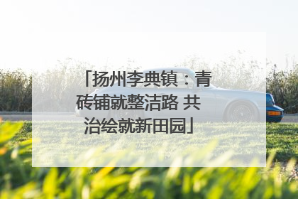 扬州李典镇：青砖铺就整洁路 共治绘就新田园