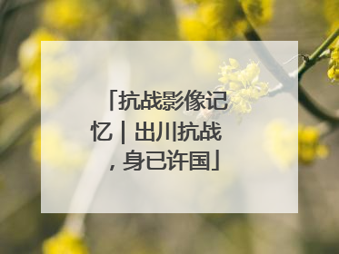抗战影像记忆｜出川抗战，身已许国