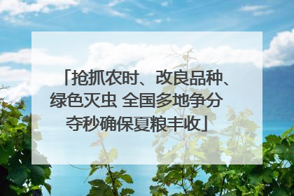 抢抓农时、改良品种、绿色灭虫 全国多地争分夺秒确保夏粮丰收