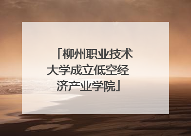 柳州职业技术大学成立低空经济产业学院