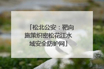 松北公安：靶向施策织密松花江水域安全防护网