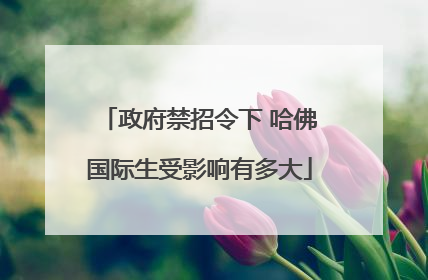 政府禁招令下 哈佛国际生受影响有多大