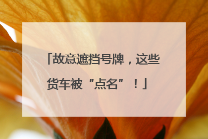 故意遮挡号牌，这些货车被“点名”！