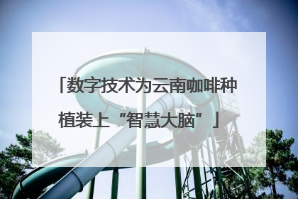 数字技术为云南咖啡种植装上“智慧大脑”