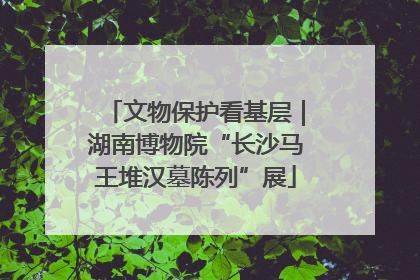 文物保护看基层｜湖南博物院“长沙马王堆汉墓陈列”展