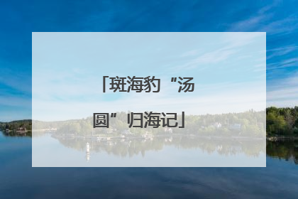 斑海豹“汤圆”归海记