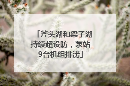 斧头湖和梁子湖持续超设防，泵站9台机组排涝