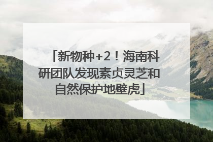 新物种+2！海南科研团队发现素贞灵芝和自然保护地壁虎