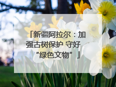 新疆阿拉尔：加强古树保护 守好“绿色文物”