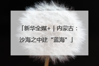 新华全媒+｜内蒙古：沙海之中建“蓝海”