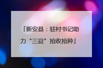 新安县：驻村书记助力“三夏”抢收抢种