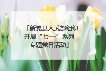 新晃县人武部组织开展“七·一”系列专题党日活动
