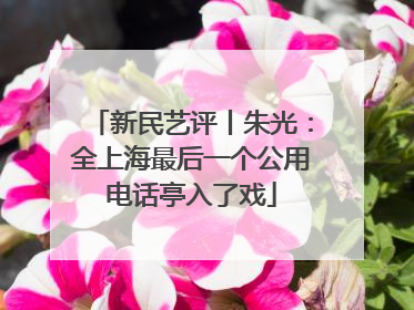 新民艺评丨朱光：全上海最后一个公用电话亭入了戏