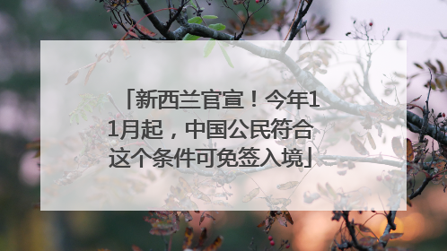 新西兰官宣！今年11月起，中国公民符合这个条件可免签入境