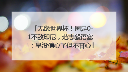 无缘世界杯！国足0-1不敌印尼，范志毅语塞：早没信心了但不甘心