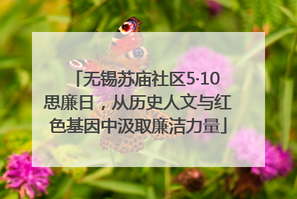 无锡苏庙社区5·10思廉日，从历史人文与红色基因中汲取廉洁力量