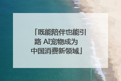 既能陪伴也能引路 AI宠物成为中国消费新领域