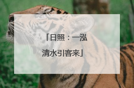 日照：一泓清水引客来