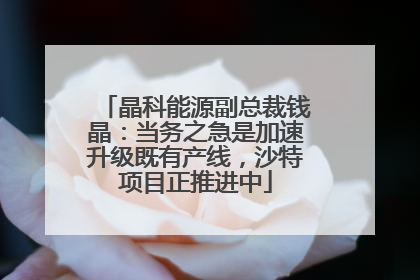 晶科能源副总裁钱晶：当务之急是加速升级既有产线，沙特项目正推进中