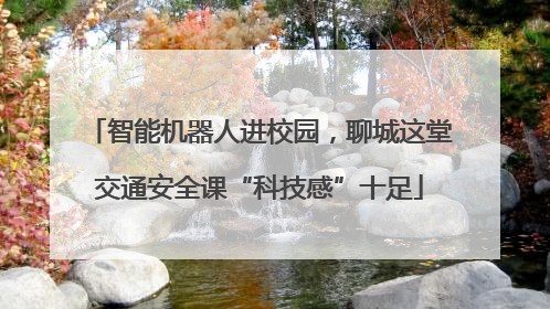 智能机器人进校园，聊城这堂交通安全课“科技感”十足